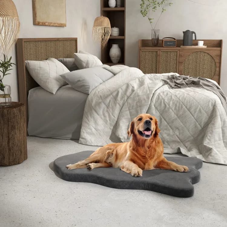 Perro descansando cómodamente en una cama ortopédica Zulopet