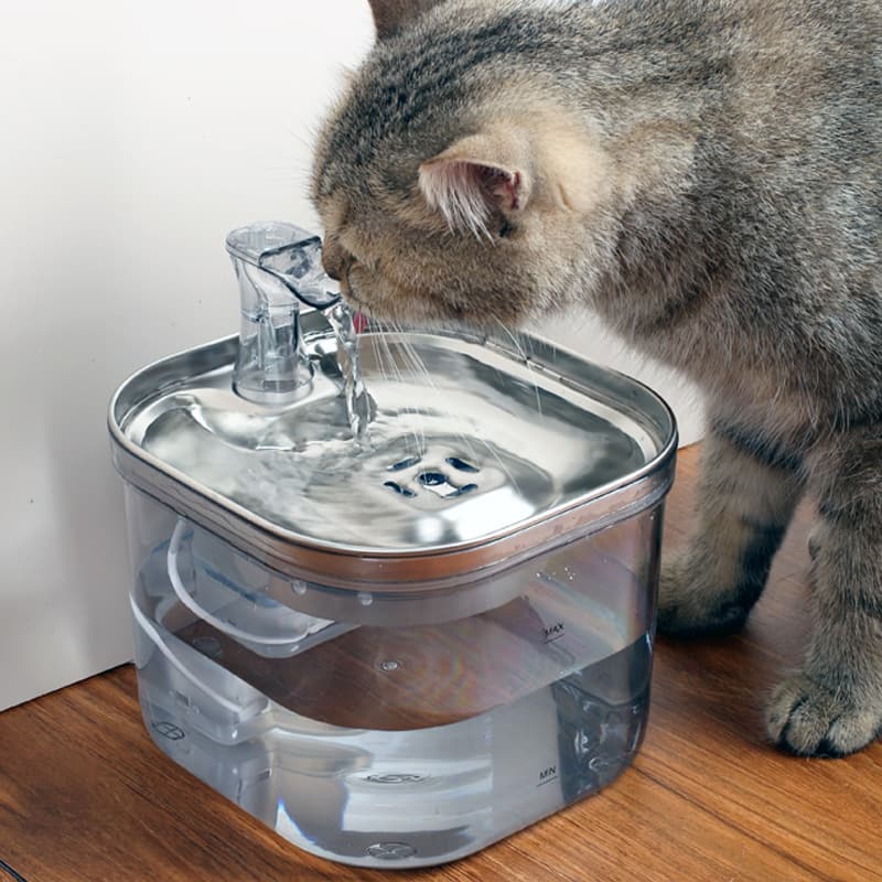 Fuente Automática de Agua de Acero Inoxidable para Gatos